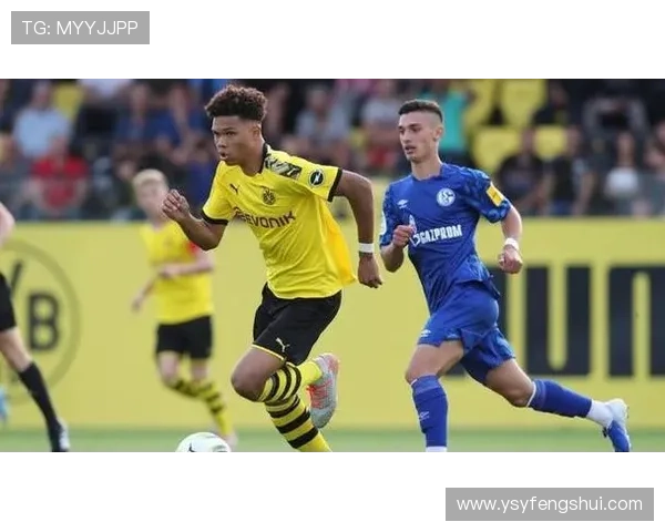 多特蒙德启动百万欧元雄心项目